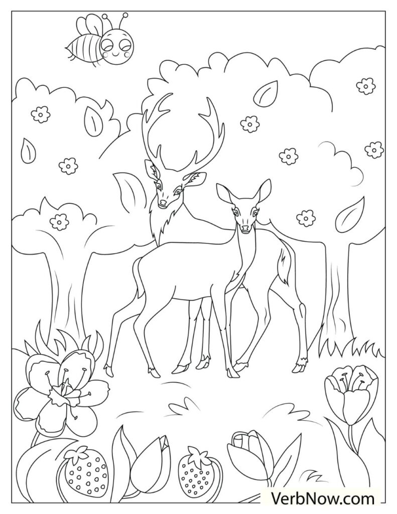 195+ Coloring Page of a Deer Printable 90