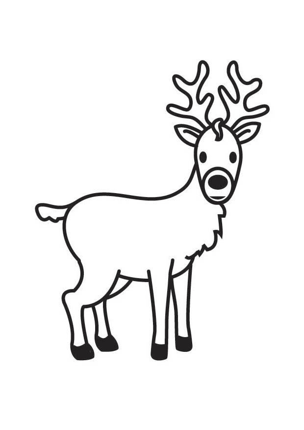 195+ Coloring Page of a Deer Printable 95