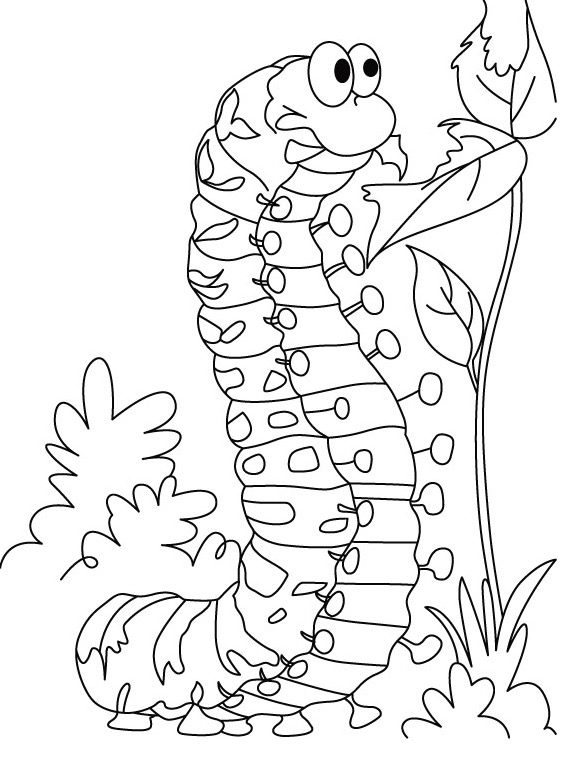 200 Beat Bugs Coloring Pages Printable 73