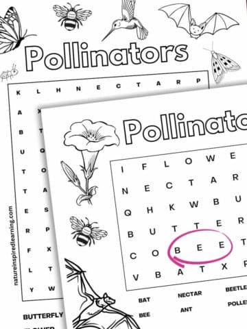 200 Beat Bugs Coloring Pages Printable 93