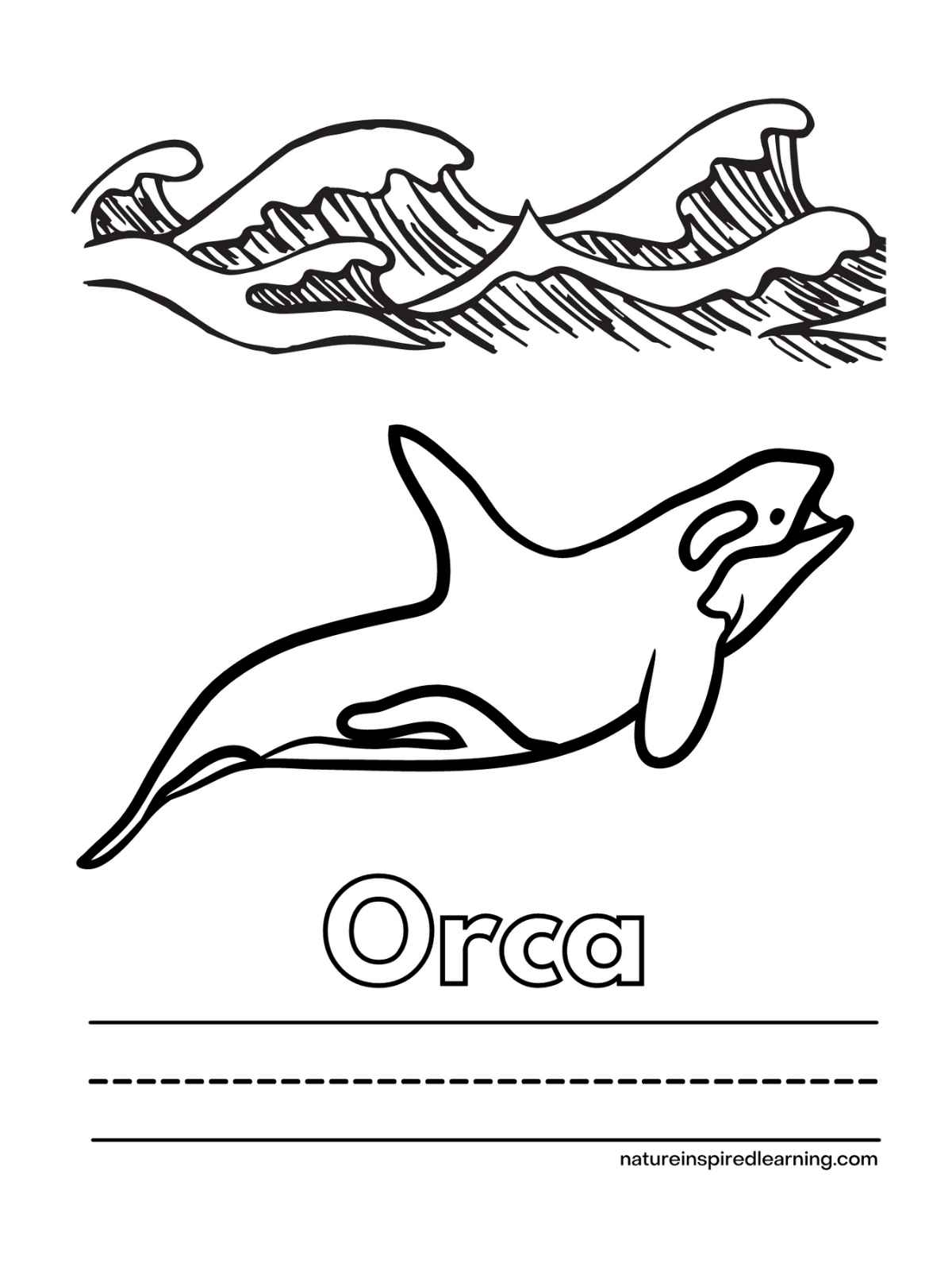 60+ Whale Coloring Pages 16