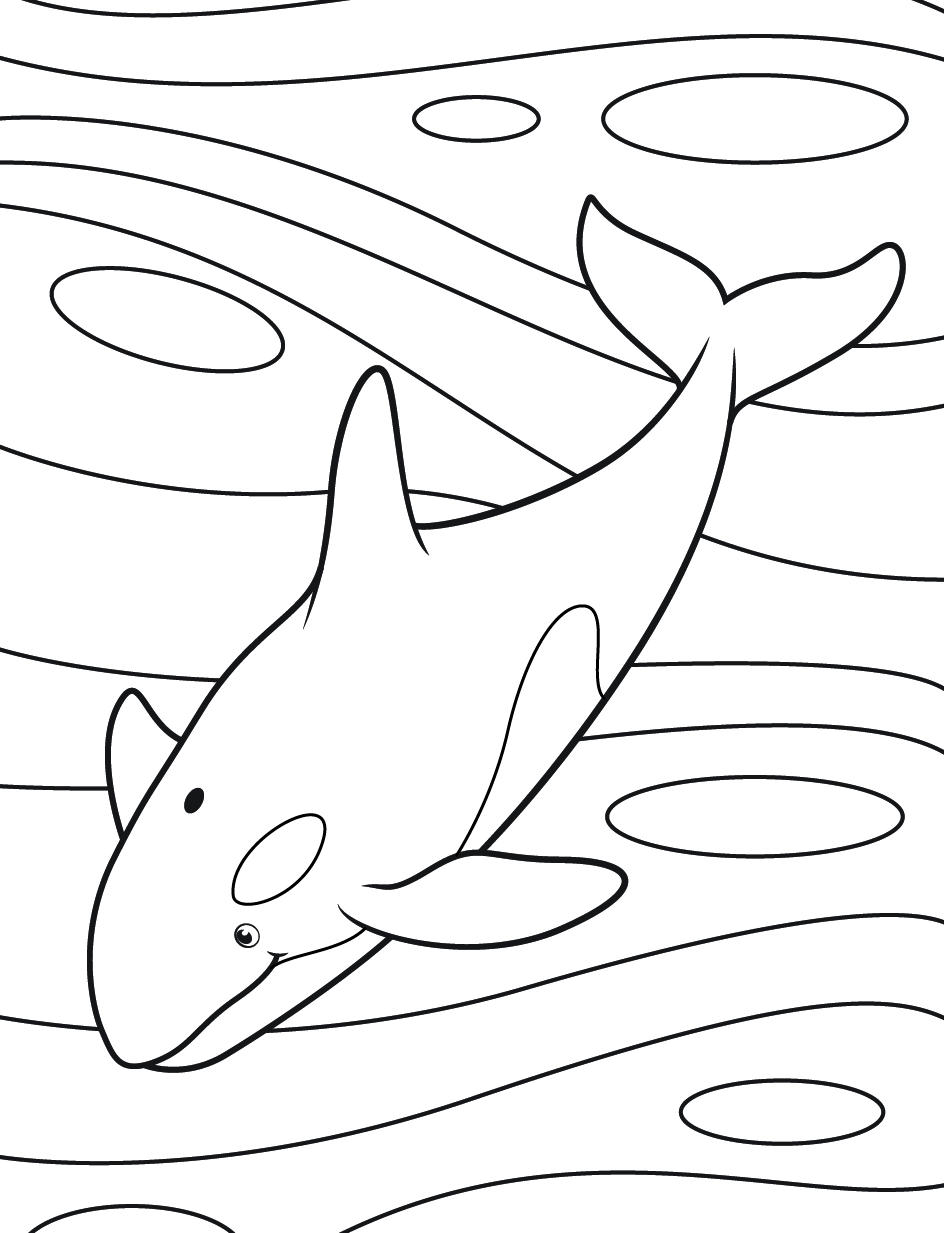 60+ Whale Coloring Pages 2