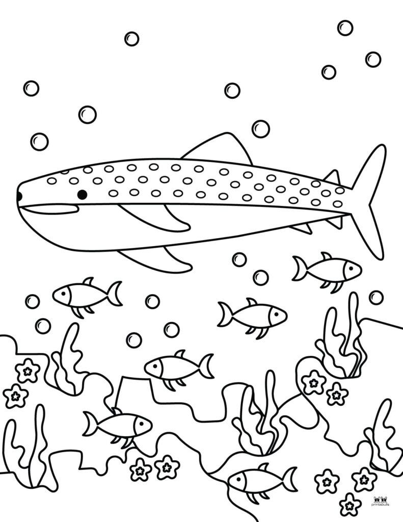 60+ Whale Coloring Pages 21