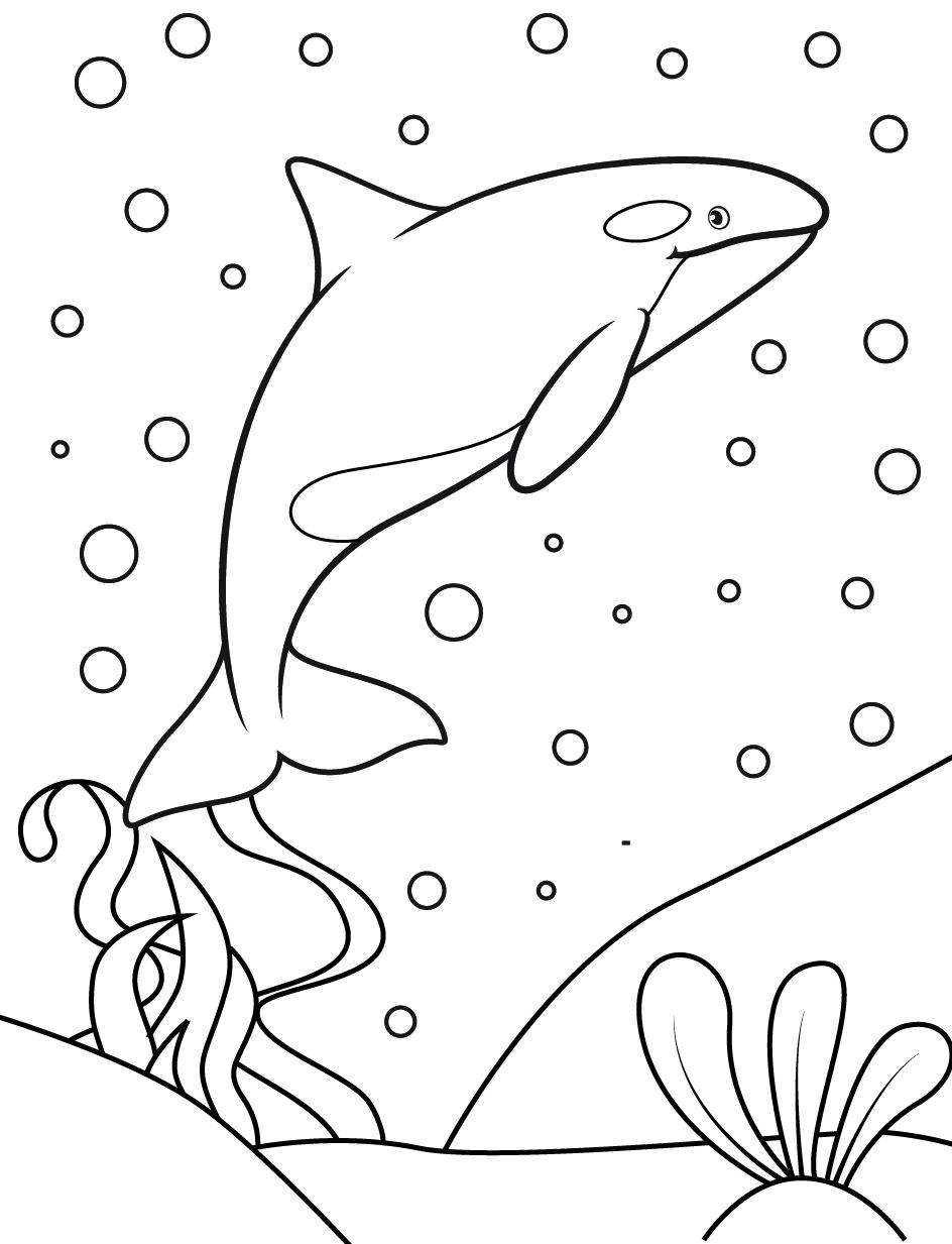 60+ Whale Coloring Pages 27