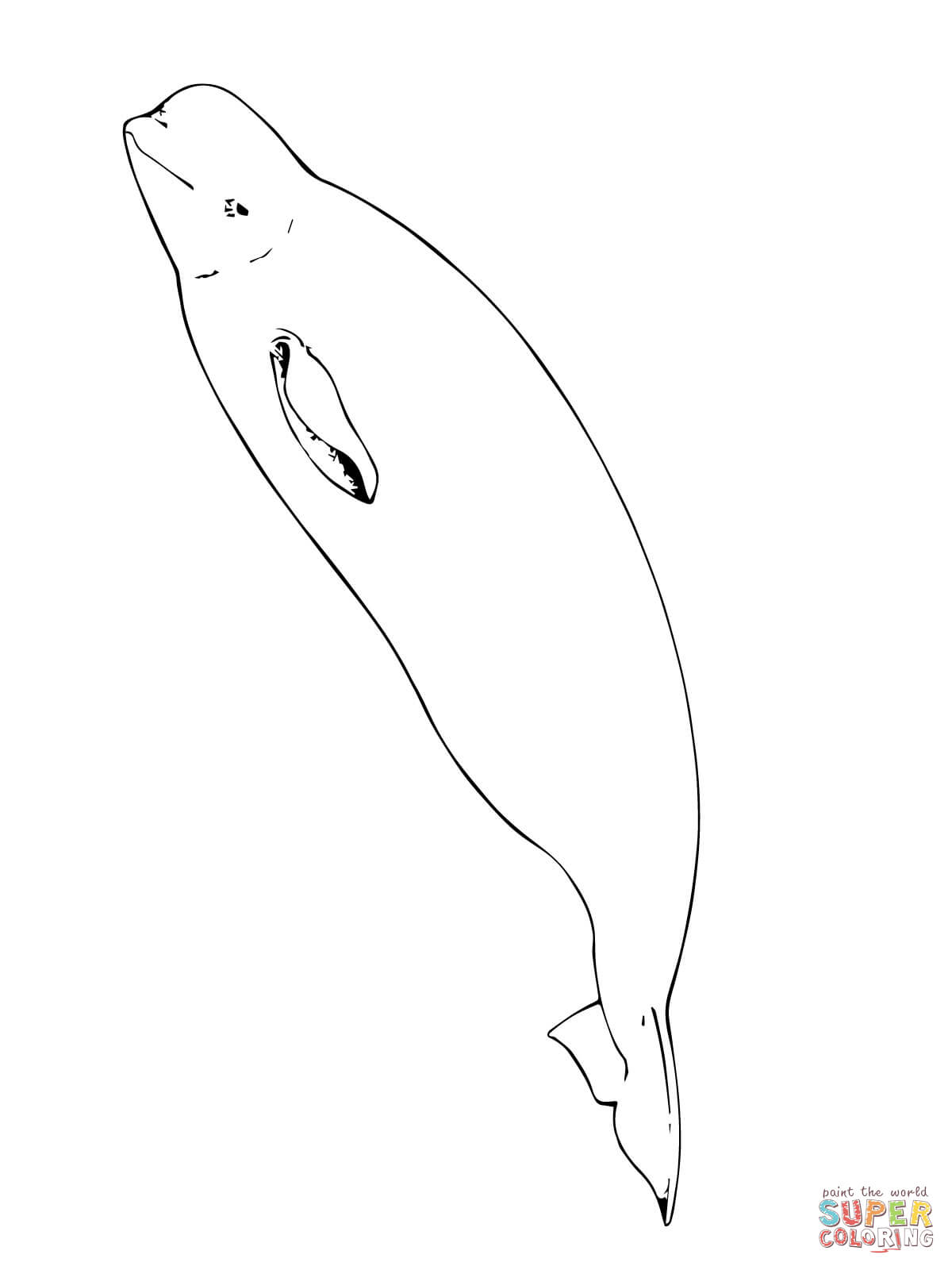 60+ Whale Coloring Pages 28