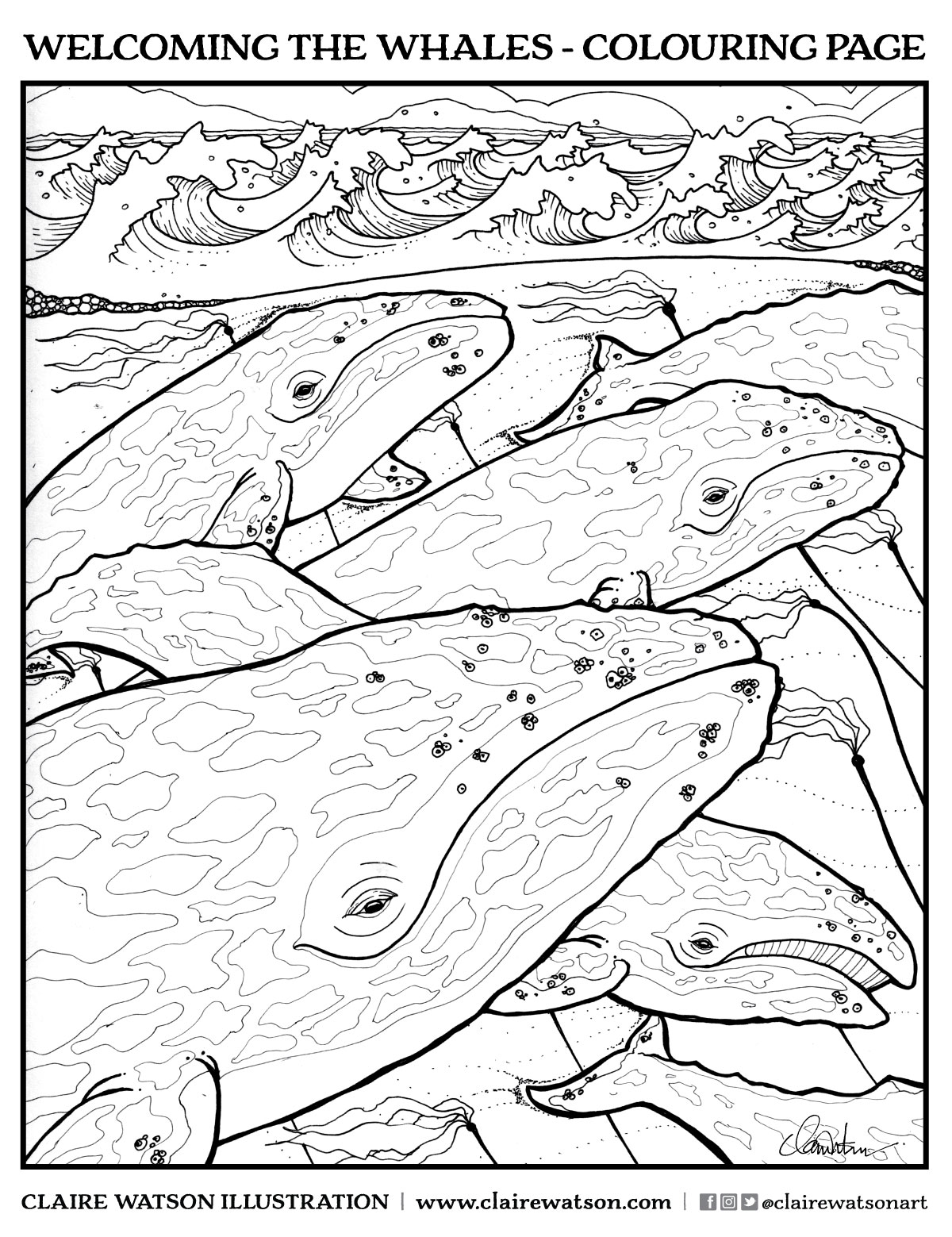 60+ Whale Coloring Pages 31