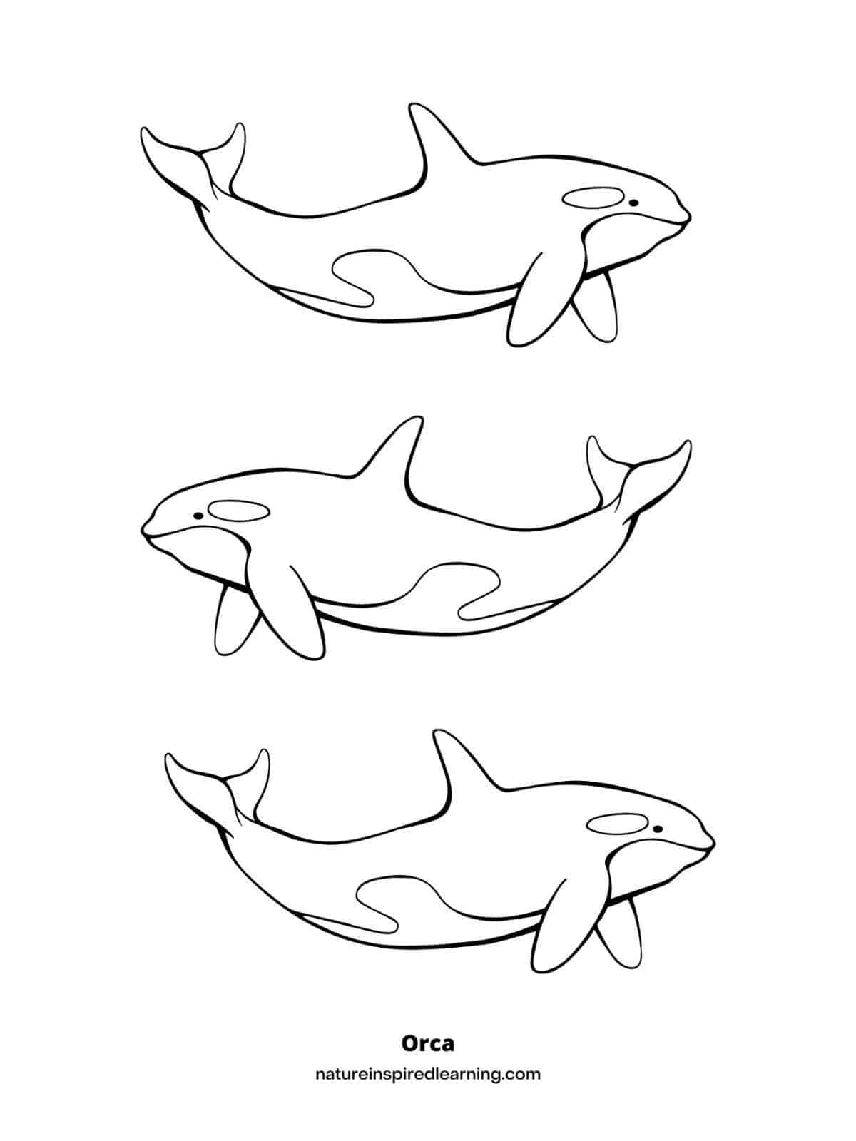 60+ Whale Coloring Pages 4