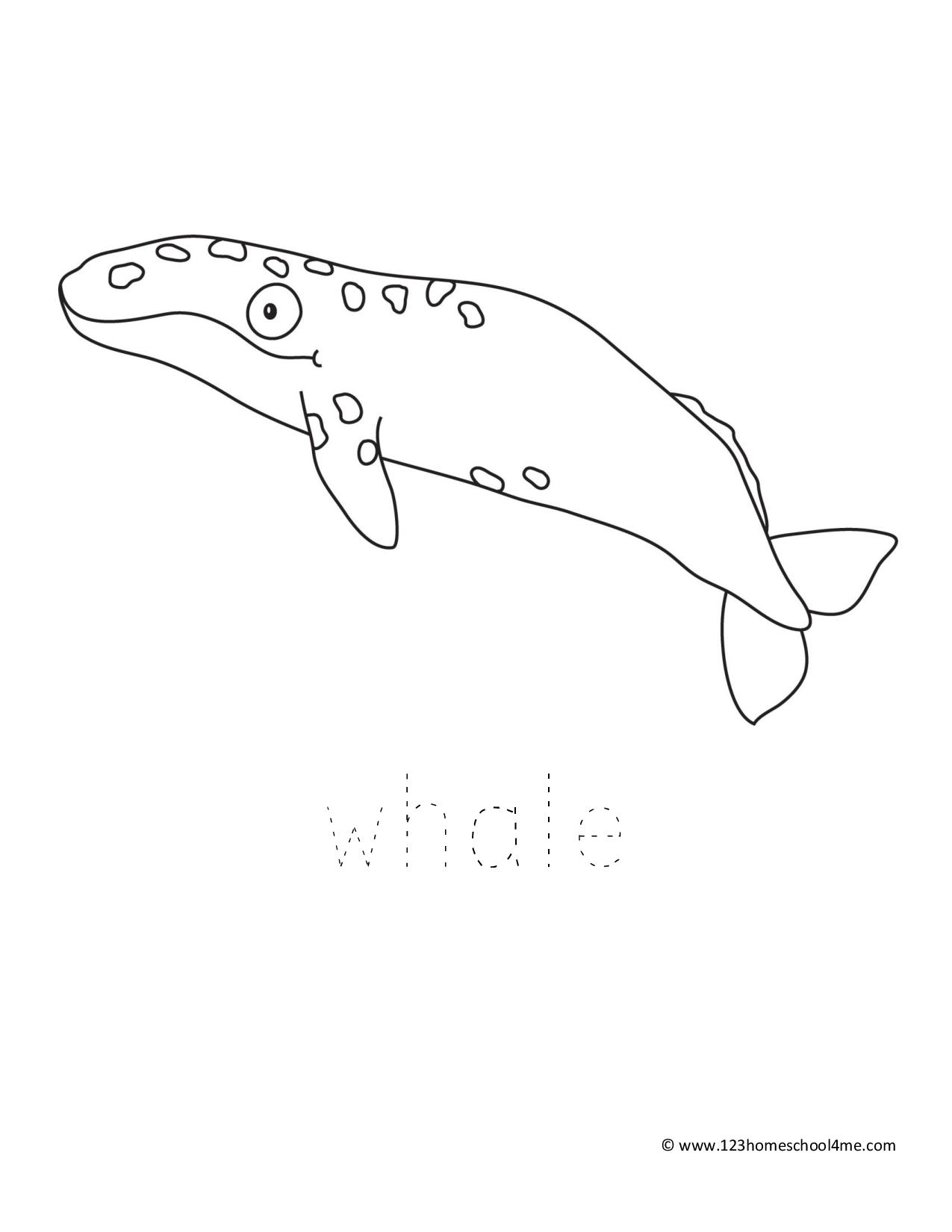 60+ Whale Coloring Pages 47