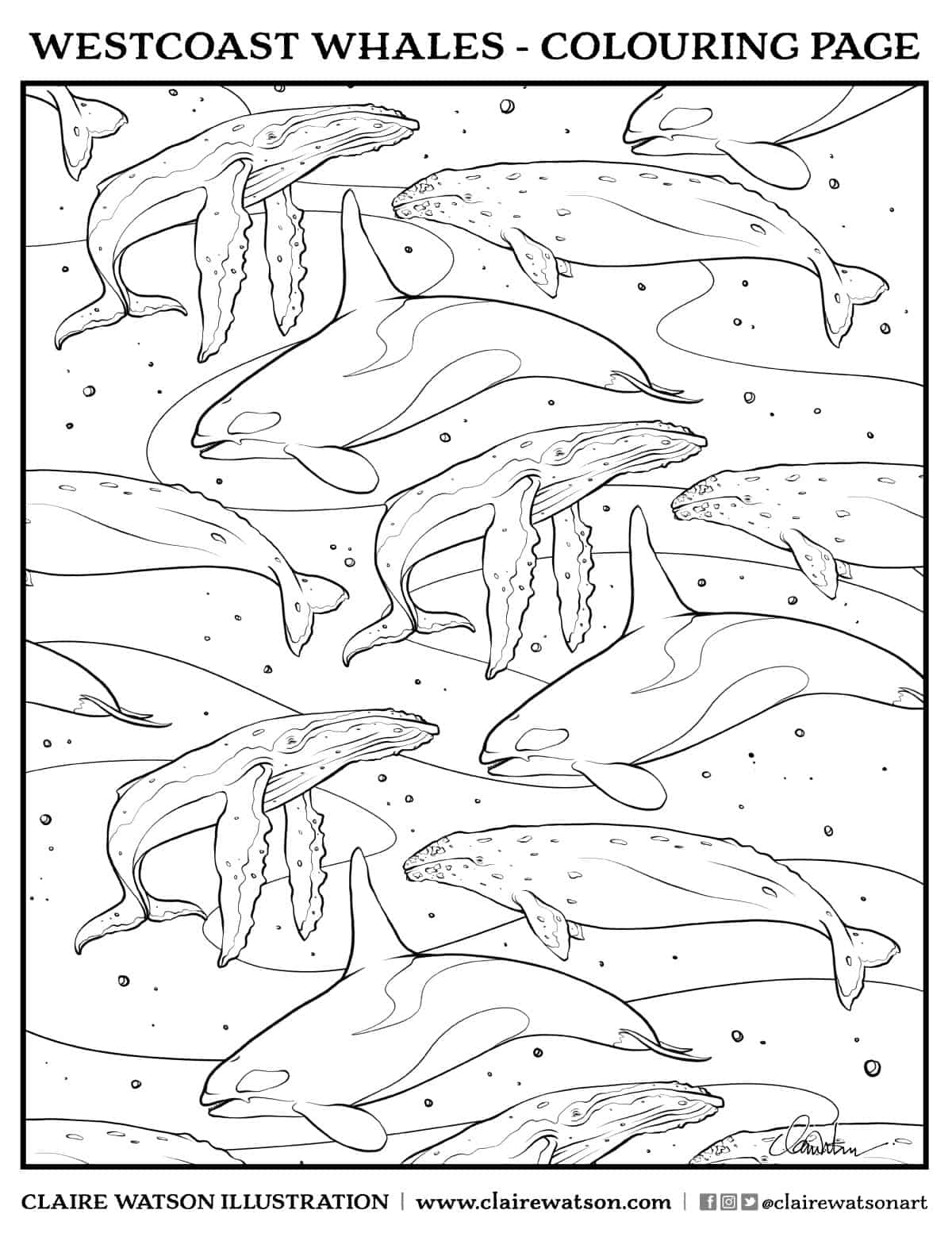 60+ Whale Coloring Pages 48