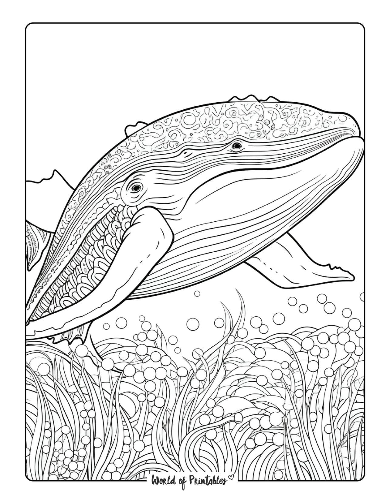 60+ Whale Coloring Pages 53