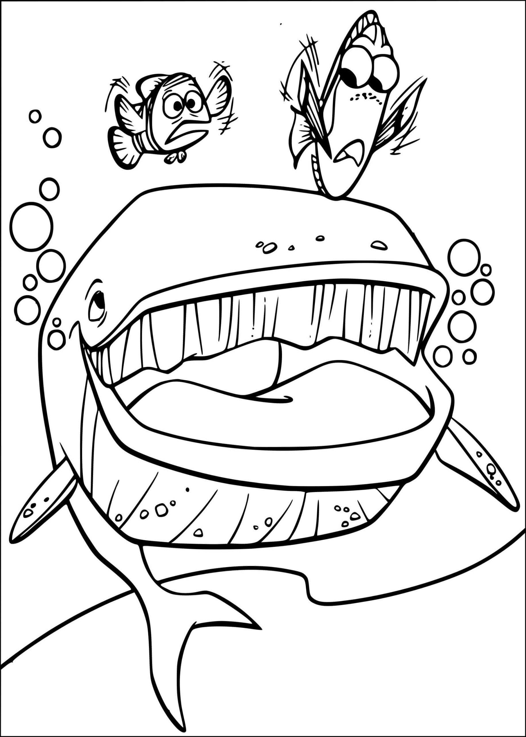 60+ Whale Coloring Pages 6