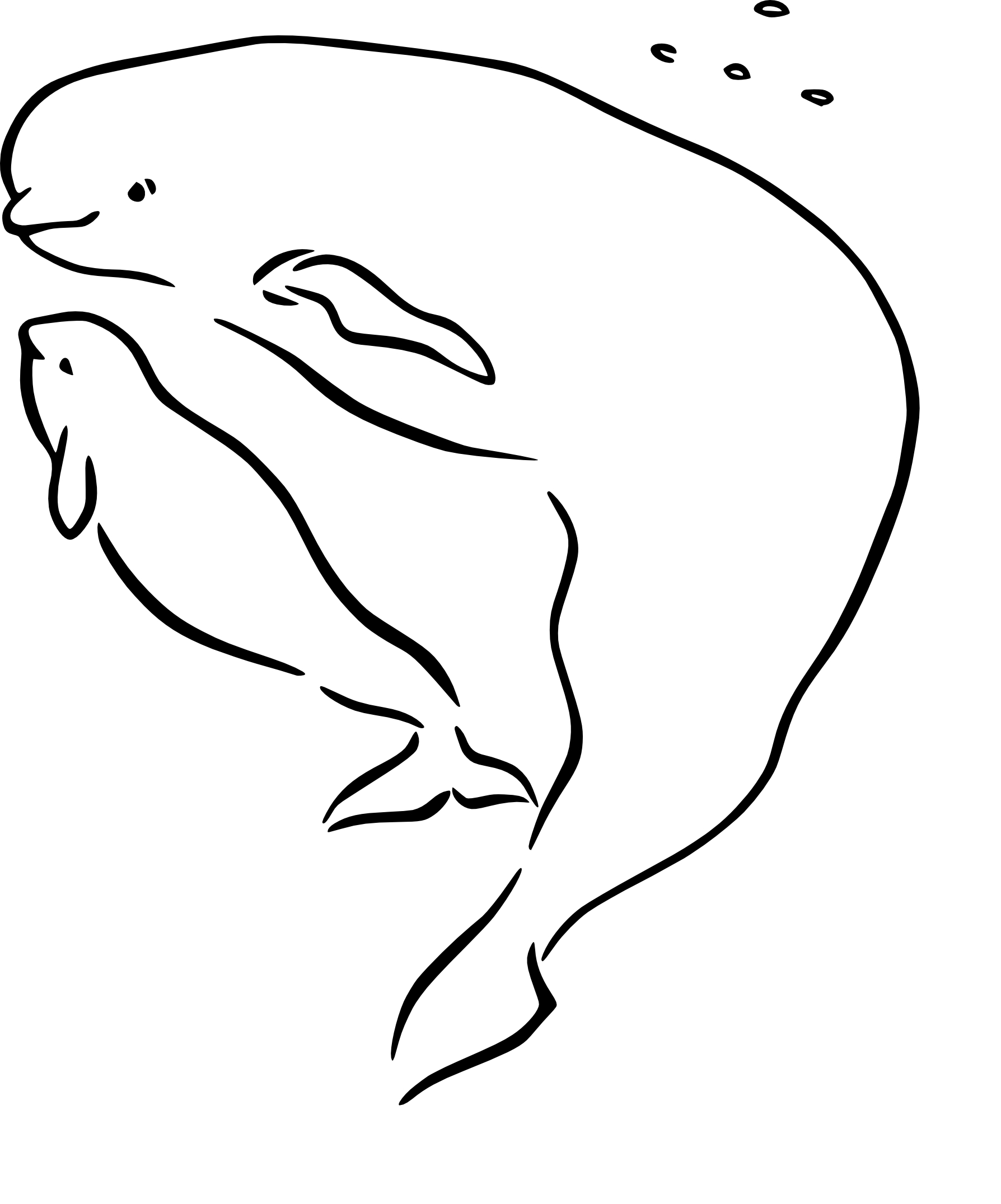 60+ Whale Coloring Pages 62