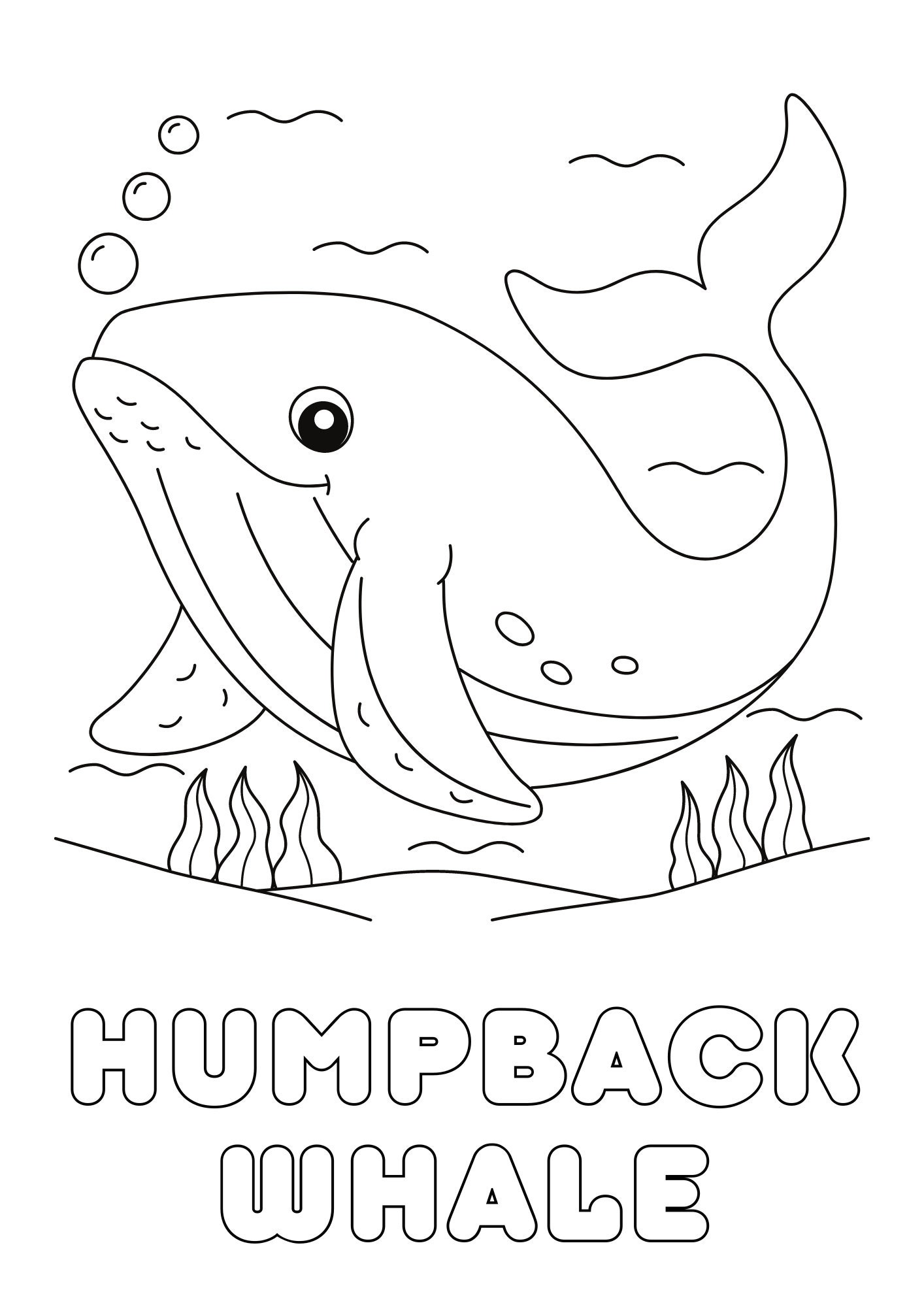 60+ Whale Coloring Pages 64