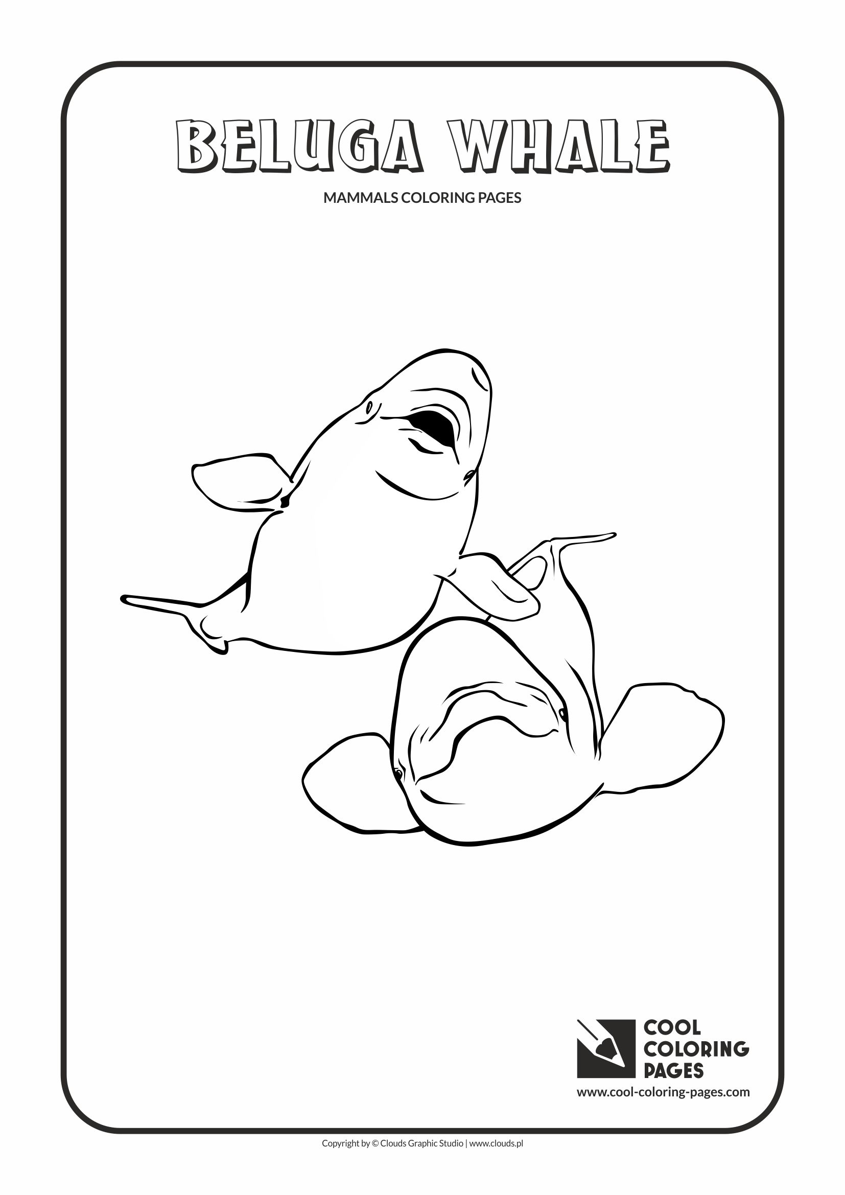 60+ Whale Coloring Pages 8