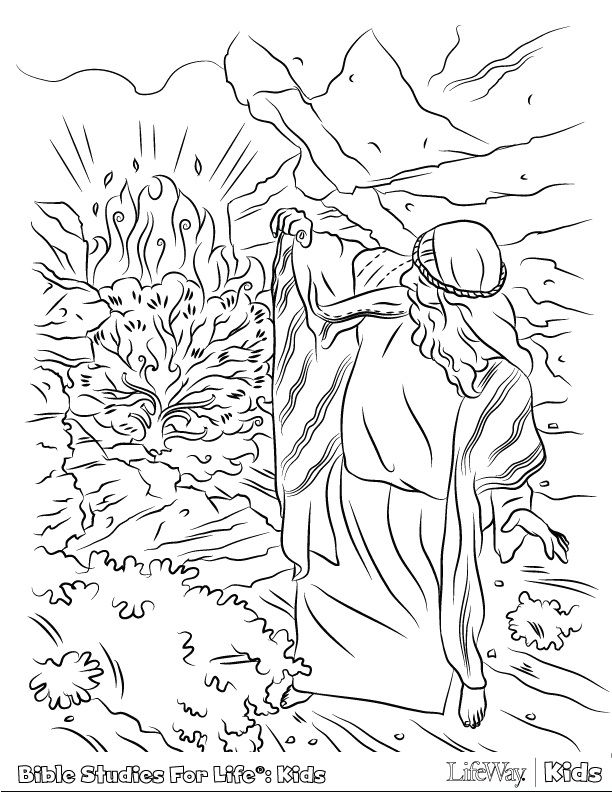 74 Burning Bush Coloring Page Printable 11