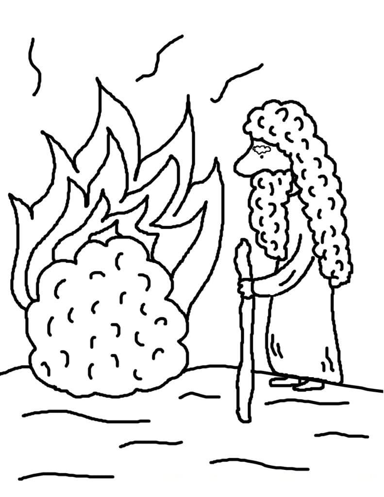 74 Burning Bush Coloring Page Printable 37