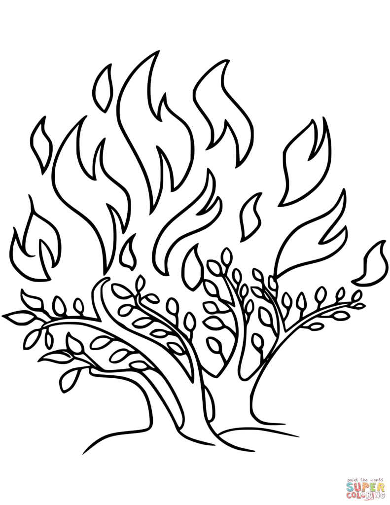 74 Burning Bush Coloring Page Printable 45