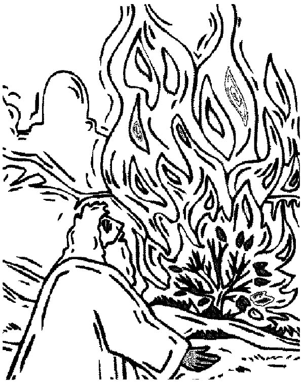 74 Burning Bush Coloring Page Printable 57