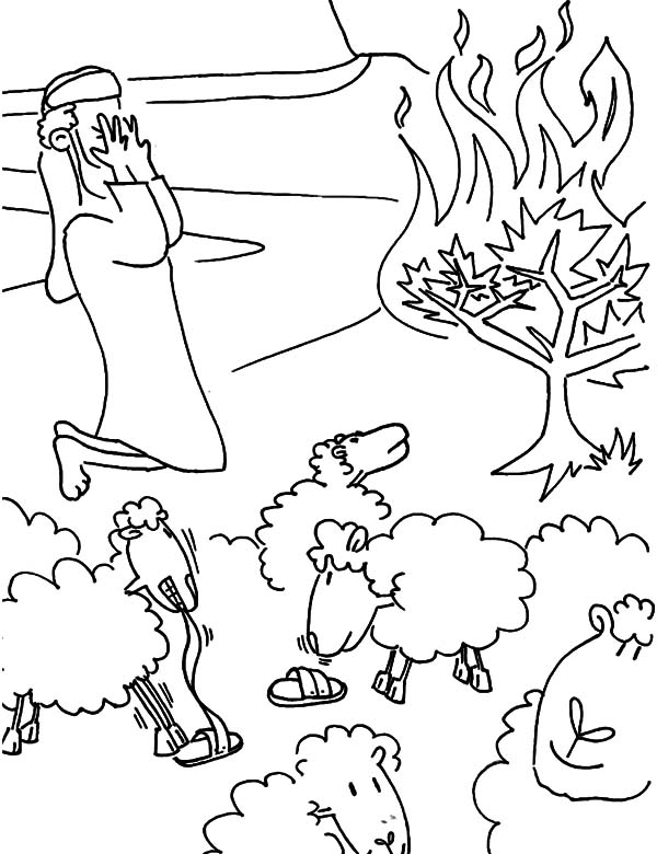 74 Burning Bush Coloring Page Printable 66