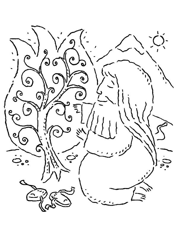 74 Burning Bush Coloring Page Printable 8