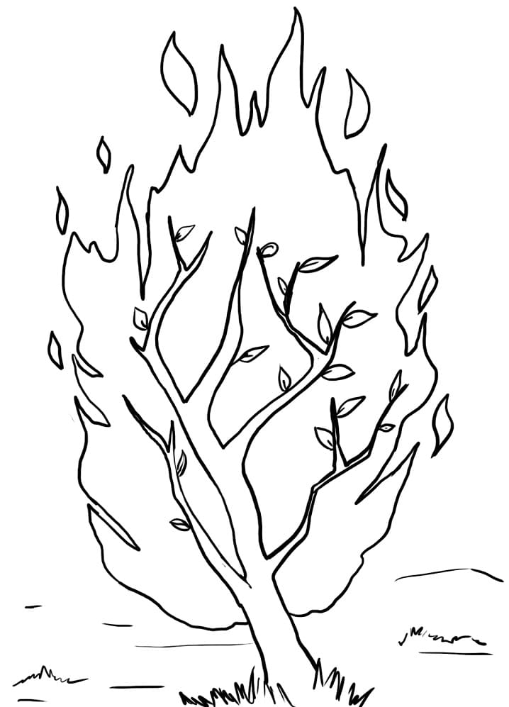 74 Burning Bush Coloring Page Printable 9