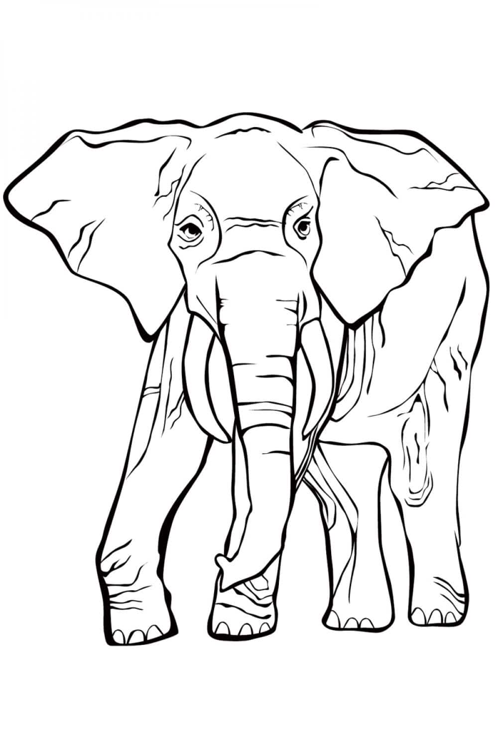 99+ Baby Elephant Coloring Pages FREE Printable 48