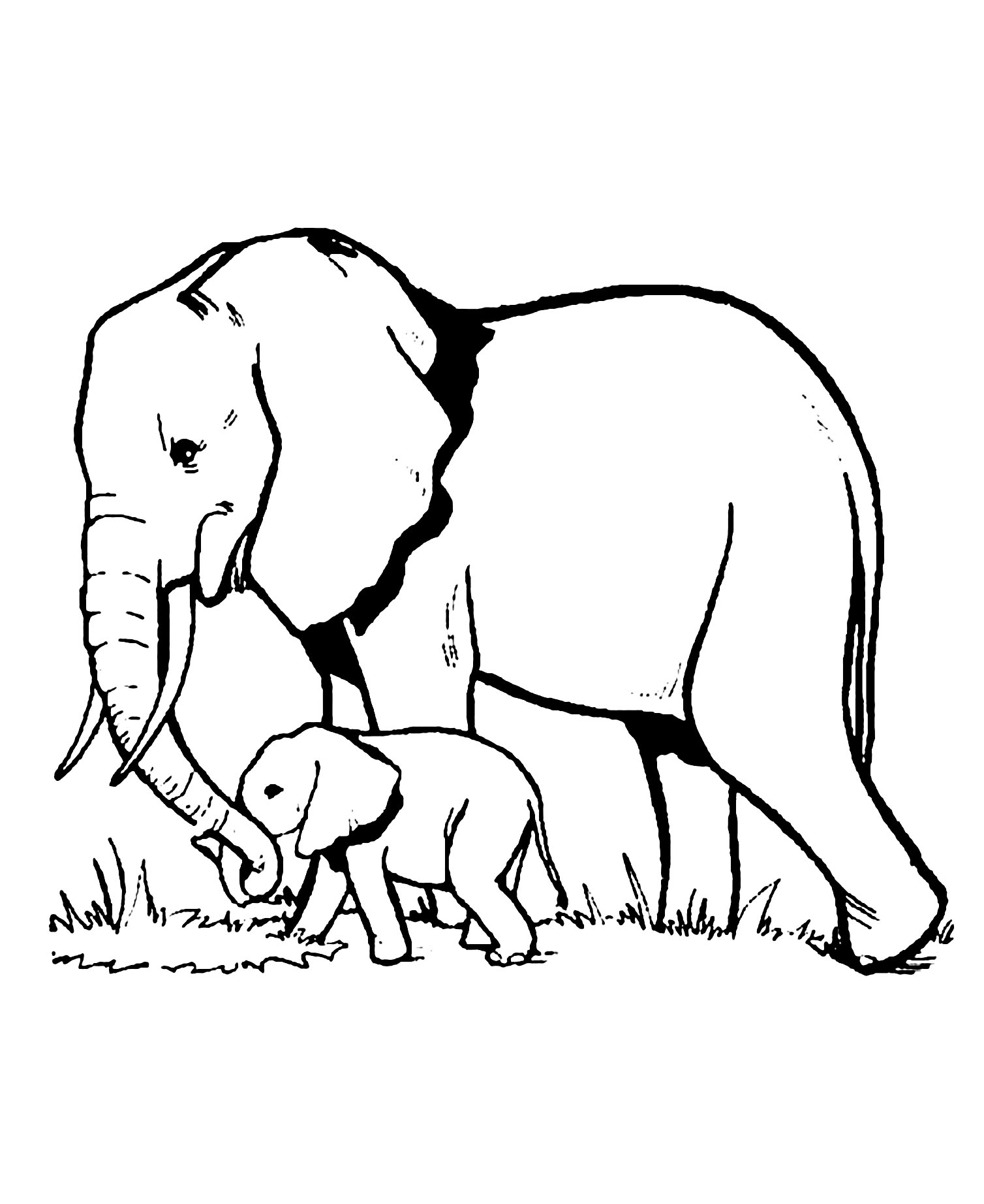 99+ Baby Elephant Coloring Pages FREE Printable 87