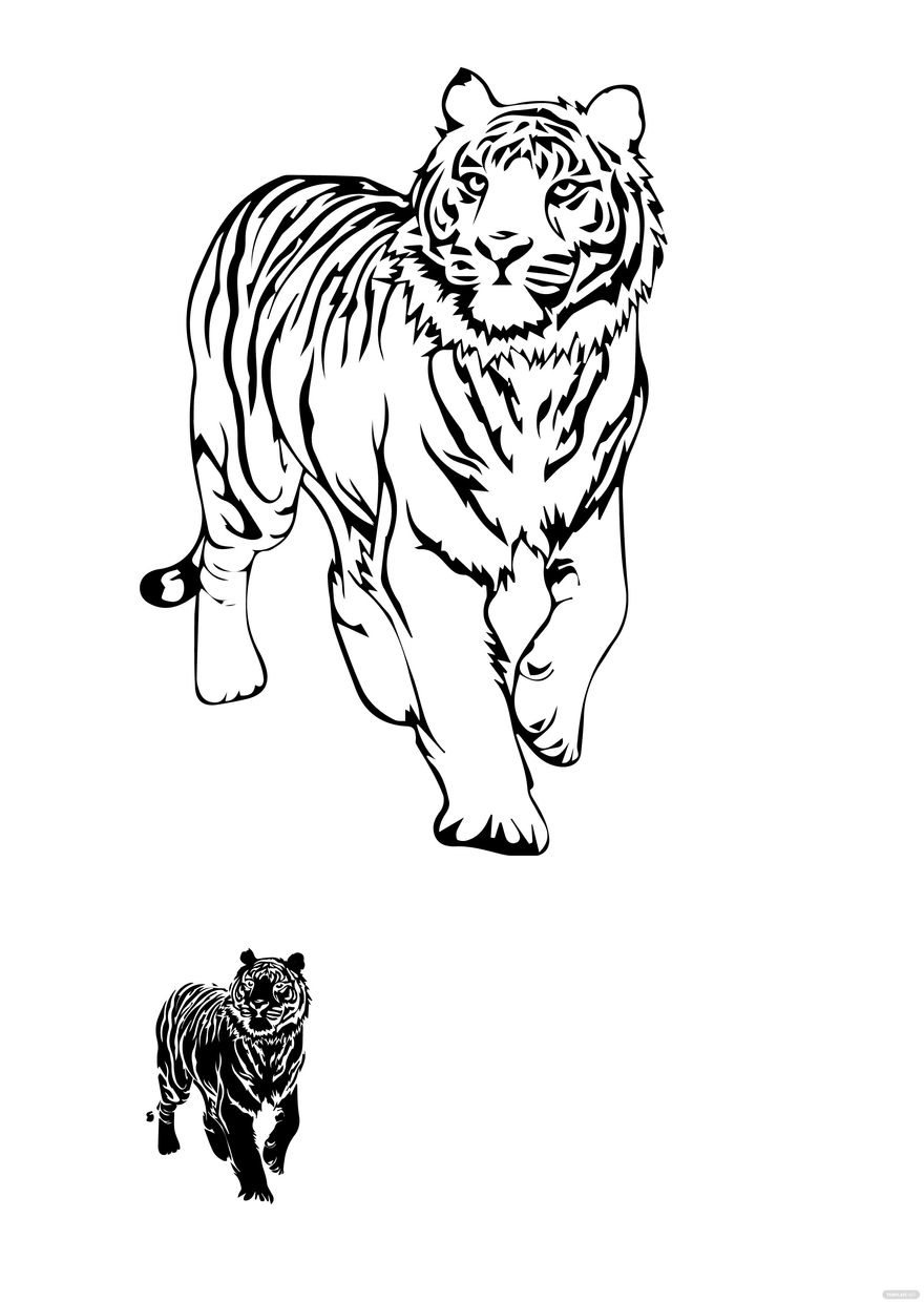 101 Tiger Coloring Pages for Kids Printable 25