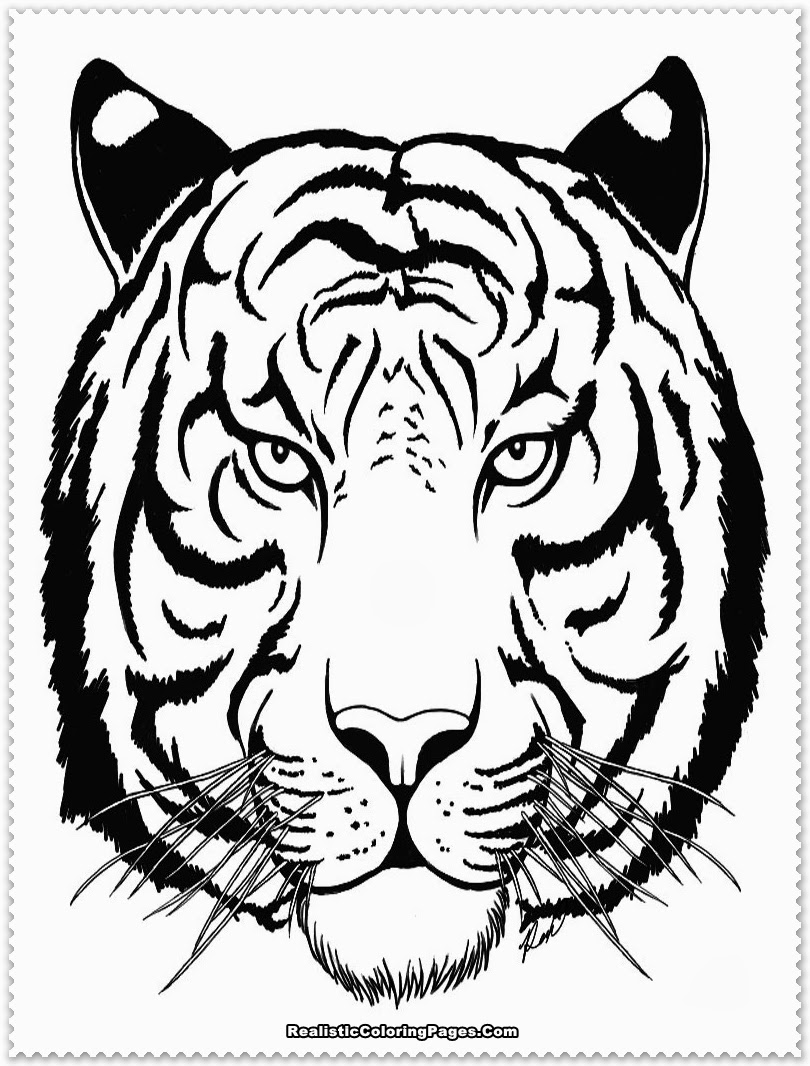 101 Tiger Coloring Pages for Kids Printable 36