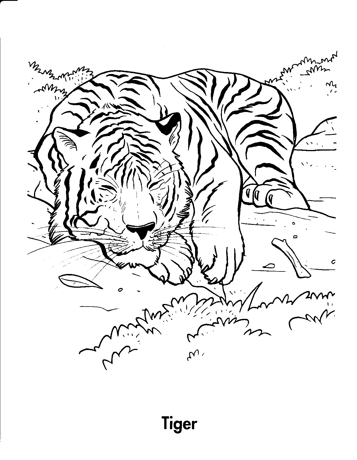 101 Tiger Coloring Pages for Kids Printable 53