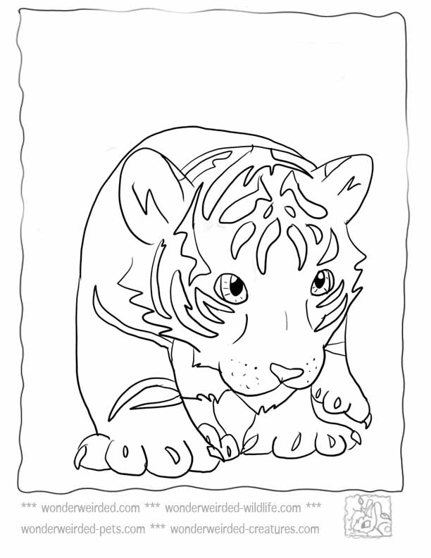 101 Tiger Coloring Pages for Kids Printable 65