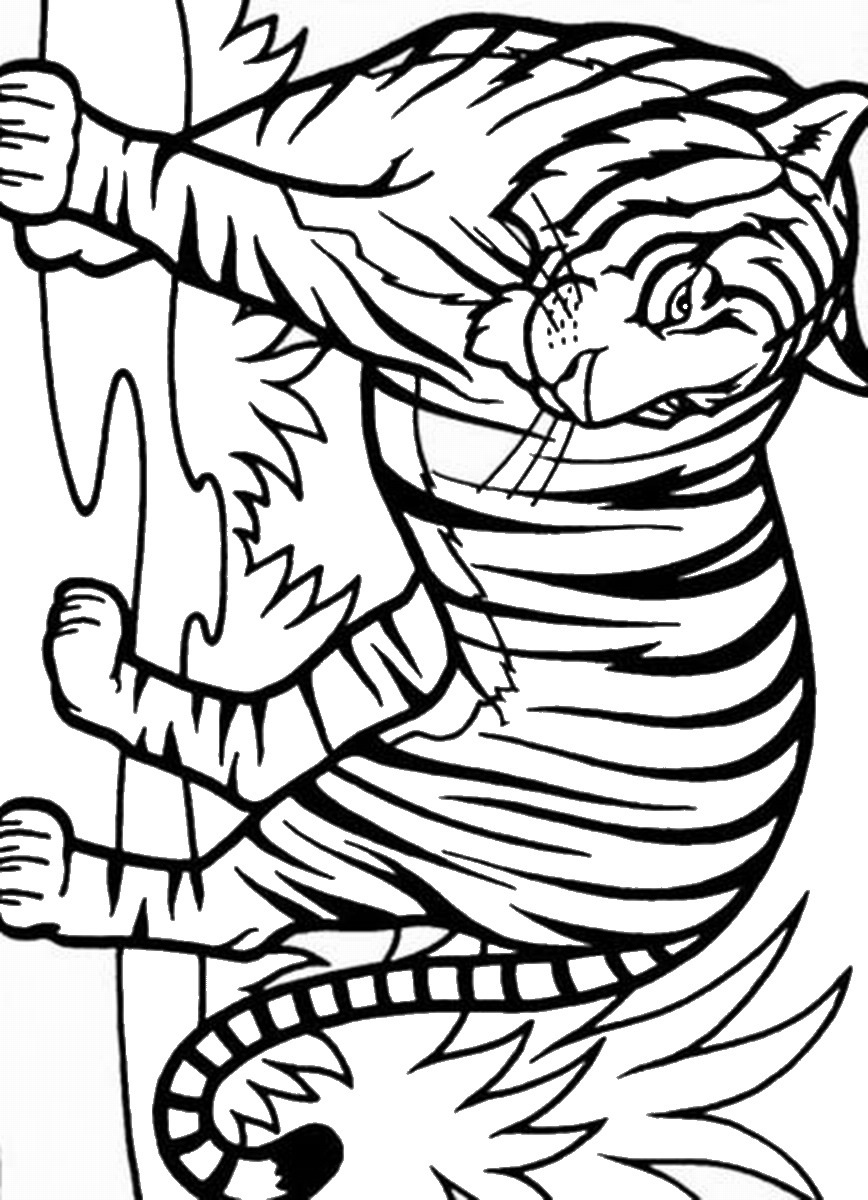 101 Tiger Coloring Pages for Kids Printable 72