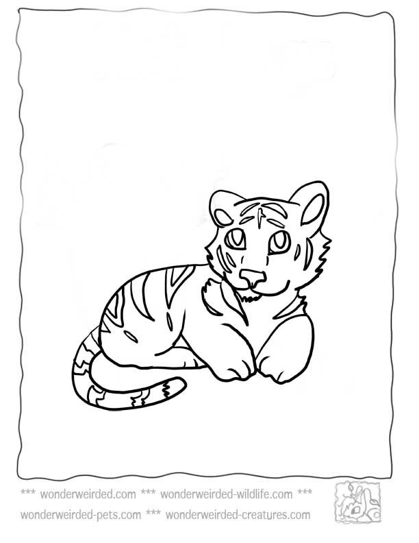 101 Tiger Coloring Pages for Kids Printable 76