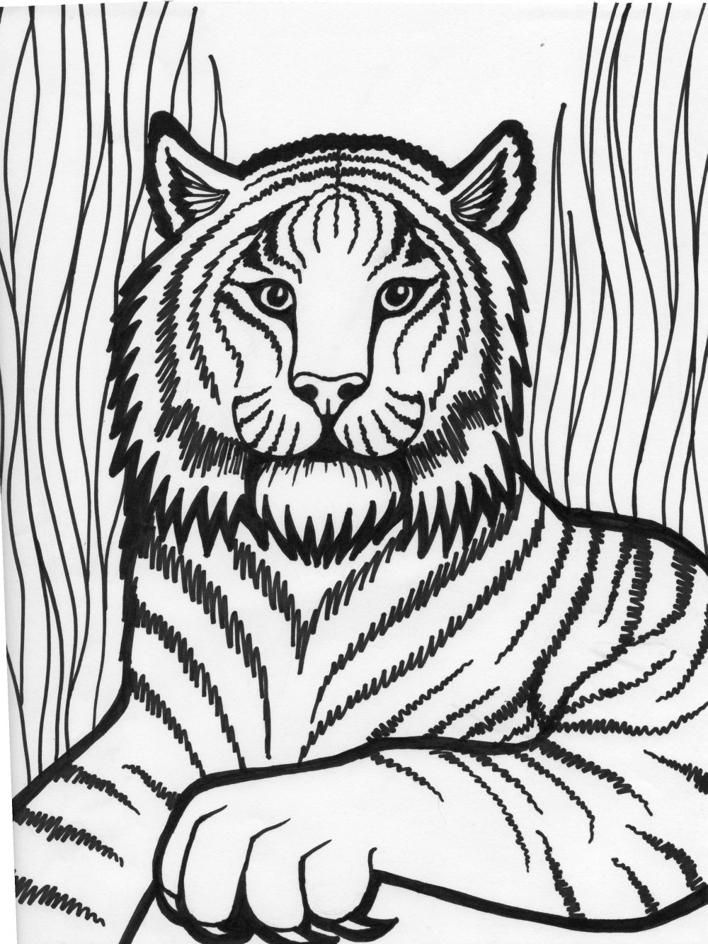 101 Tiger Coloring Pages for Kids Printable 81