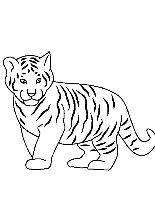 101 Tiger Coloring Pages for Kids Printable 85