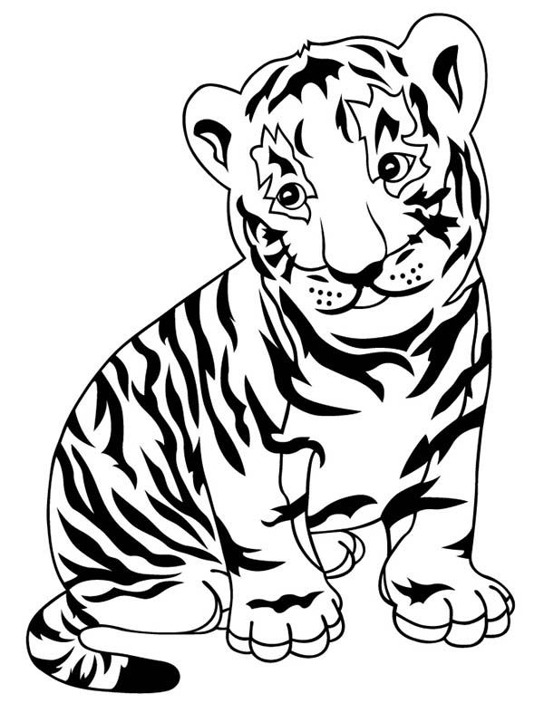 101 Tiger Coloring Pages for Kids Printable 95