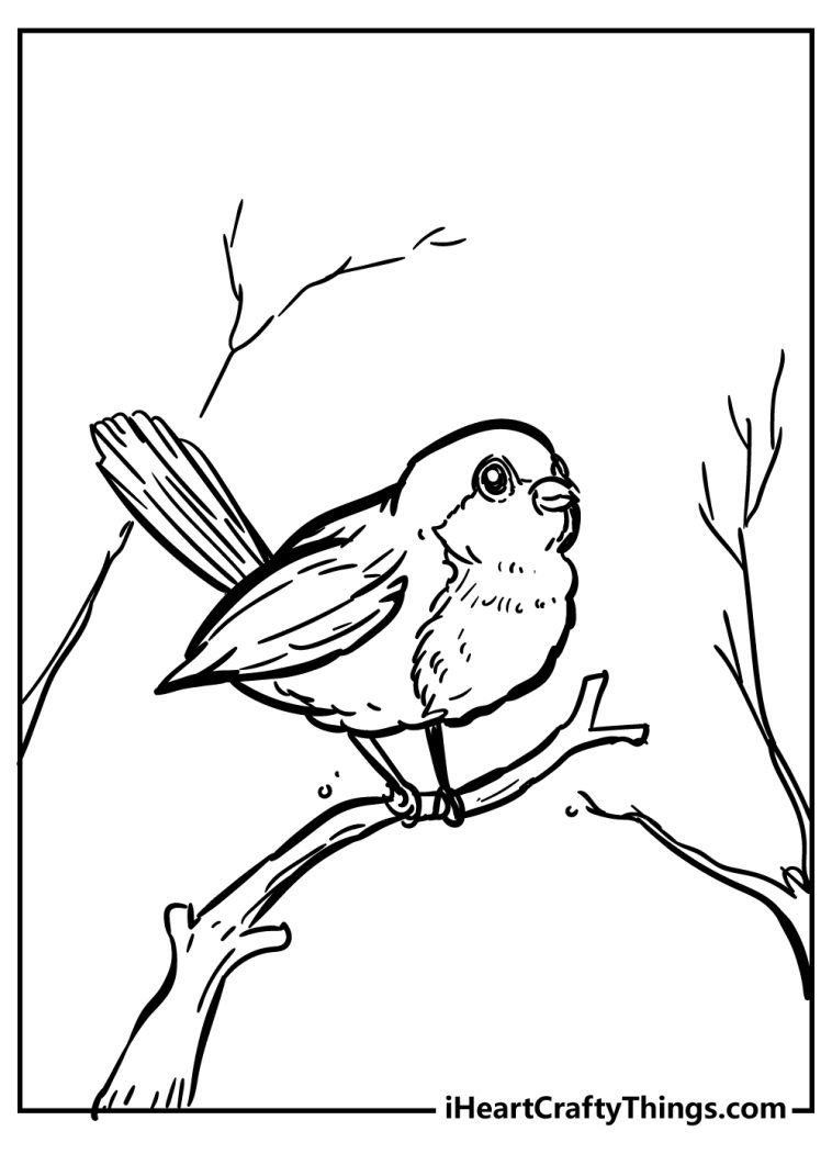 31 Charming Robin Coloring Pages Printable 1