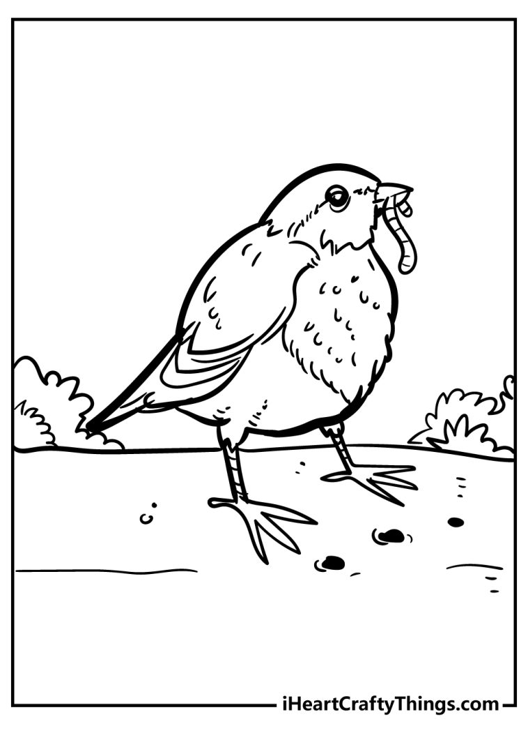 31 Charming Robin Coloring Pages Printable 25