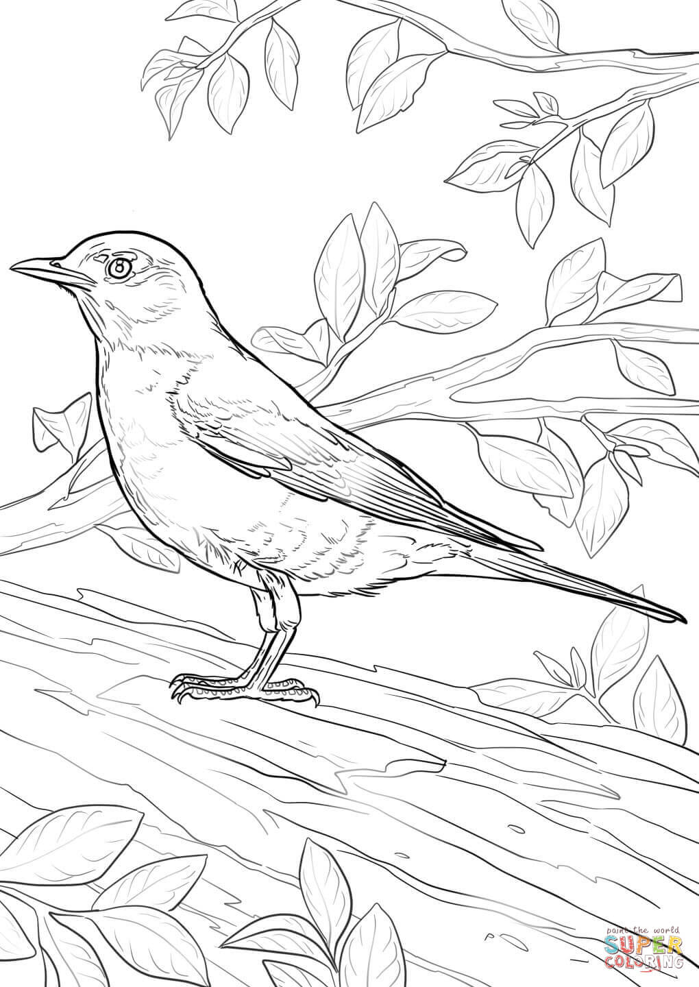 31 Charming Robin Coloring Pages Printable 28