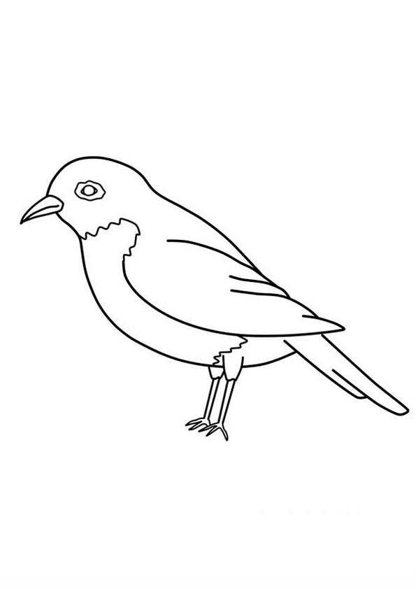 31 Charming Robin Coloring Pages Printable 29