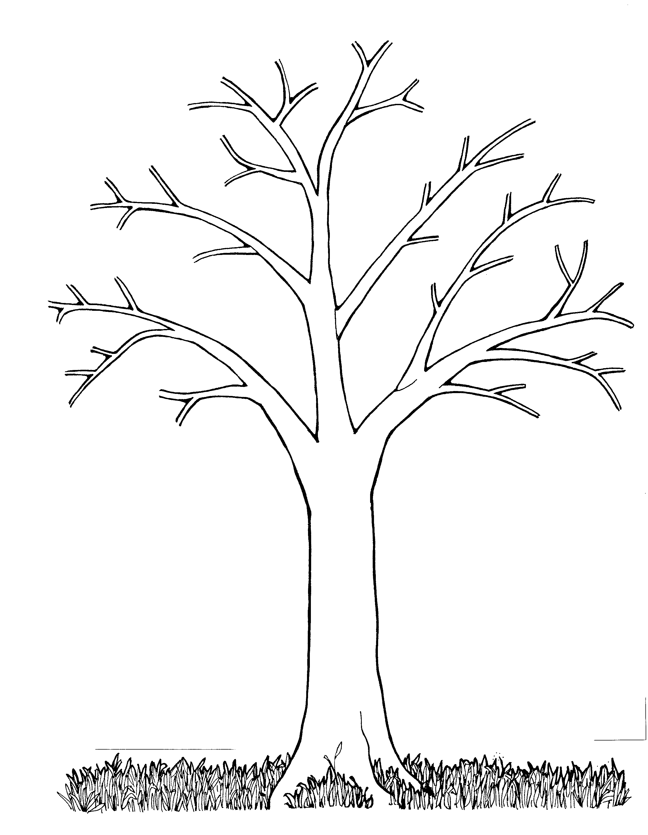 35 Graceful Tree Coloring Pages Printable 10