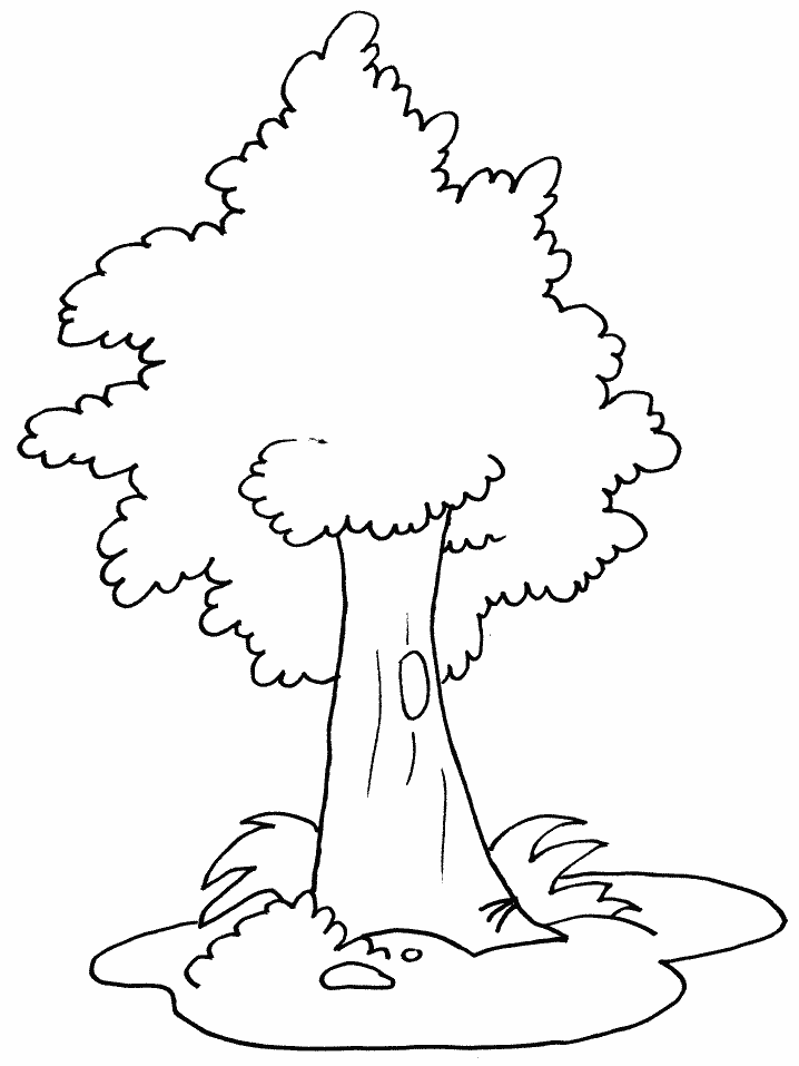 35 Graceful Tree Coloring Pages Printable 16