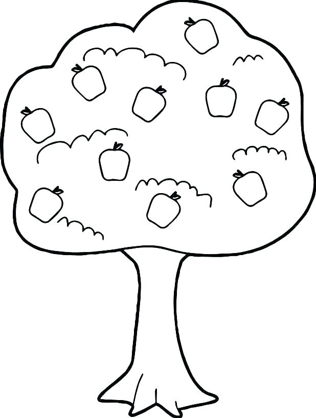 35 Graceful Tree Coloring Pages Printable 17