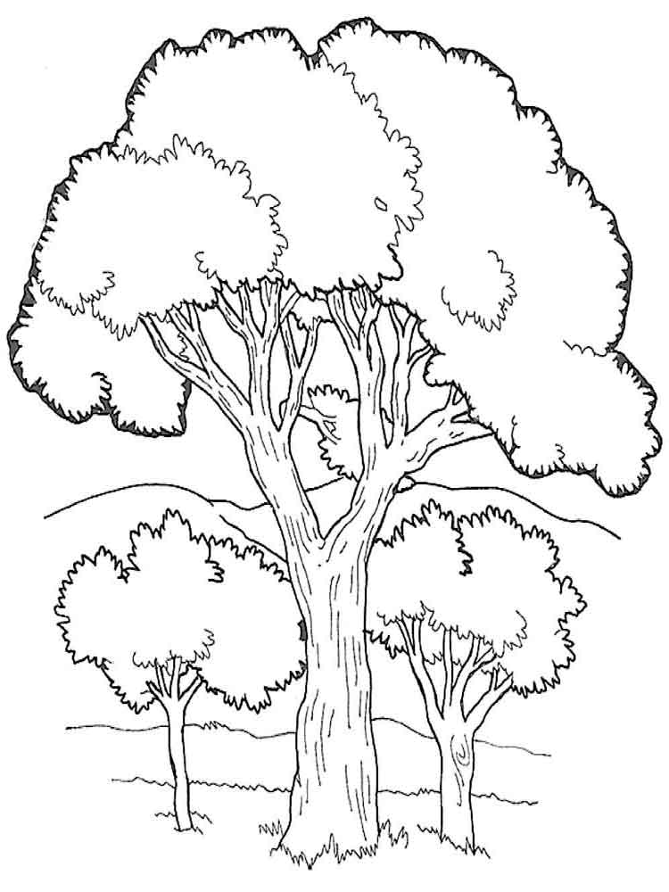 35 Graceful Tree Coloring Pages Printable 2