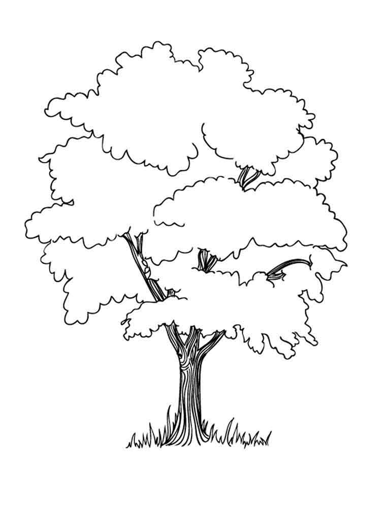 35 Graceful Tree Coloring Pages Printable 30