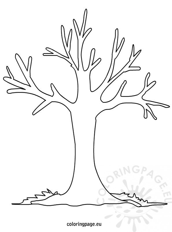 35 Graceful Tree Coloring Pages Printable 34