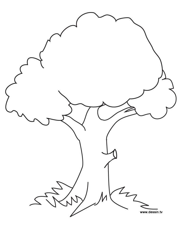 35 Graceful Tree Coloring Pages Printable 6