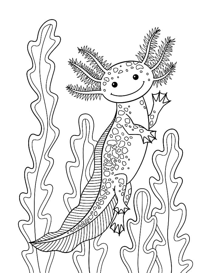 39 Cool Printable Axolotl Coloring Pages 25