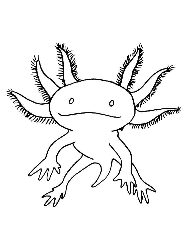 39 Cool Printable Axolotl Coloring Pages 3