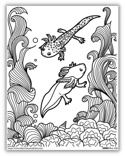 39 Cool Printable Axolotl Coloring Pages 30